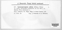 Gymnosporangium sabinae image